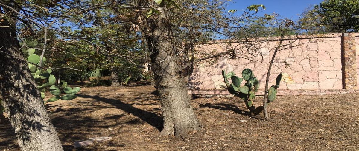 Foto de terreno habitacional en venta en zona centro , balneario de lourdes [centro vacacional], santa maría del río, san luis potosí, 0 No. 04